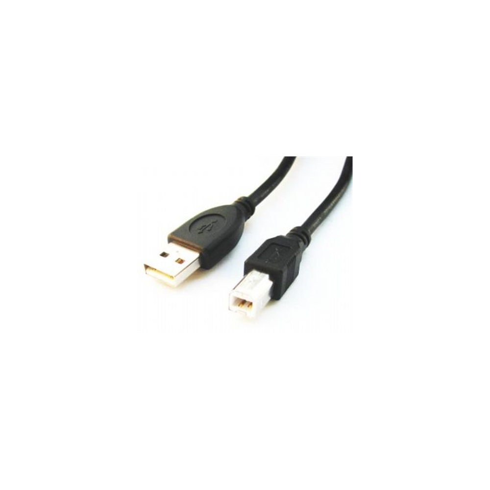 Cablexpert | CCP-USB2-AMBM-6 | USB-A to USB-B USB A | USB B